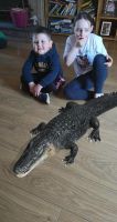 It's like a zoo in the Campbell house!